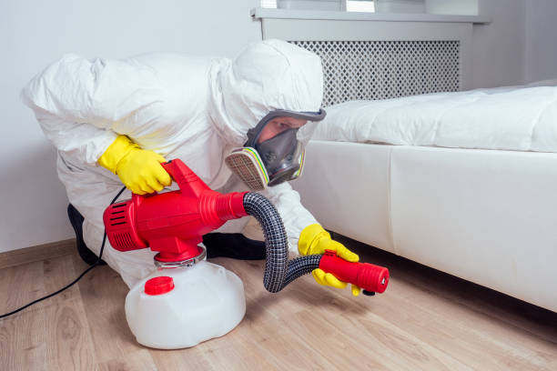 Emergency Pest Control Services in Sherwood, WI